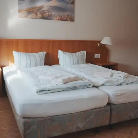 Zum Wikinger - Haustiere Guest house
